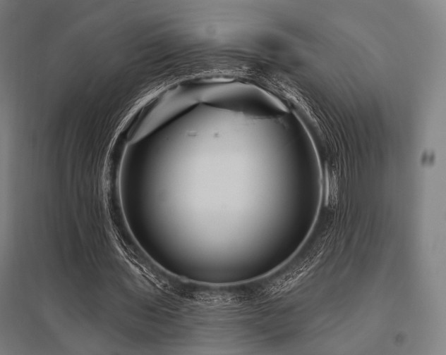 X0000096170435200801181253