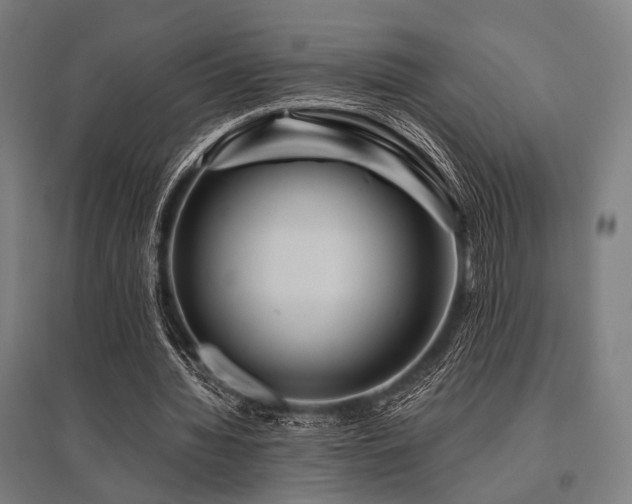 X0000096170436200801181253