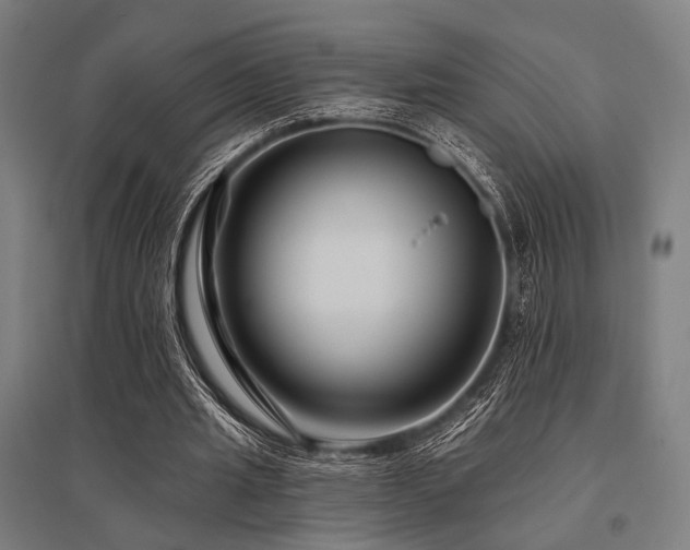 X0000096170437200801181253