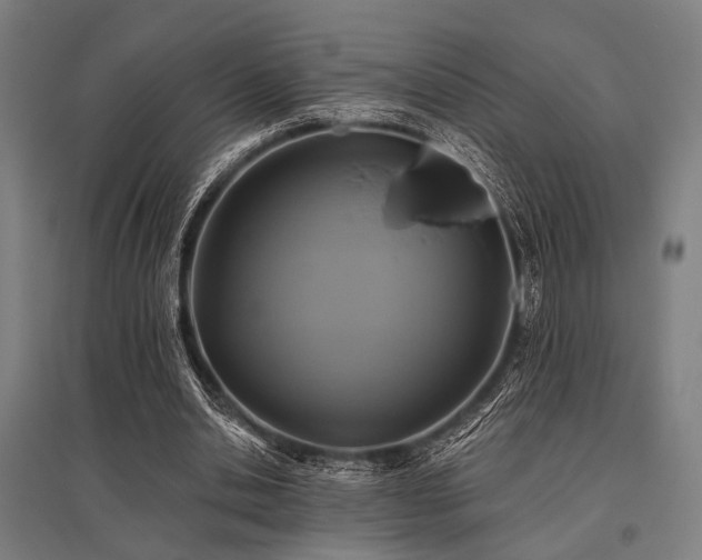 X0000096170438200801181253