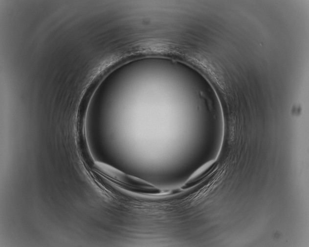 X0000096170439200801181253