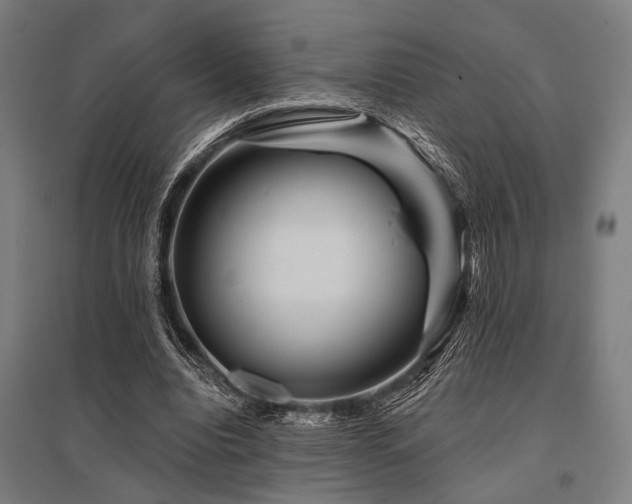 X0000096170440200801181253