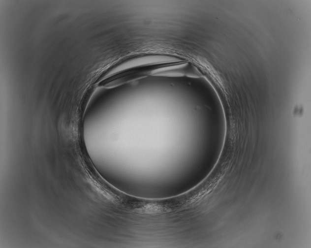 X0000096170441200801181253