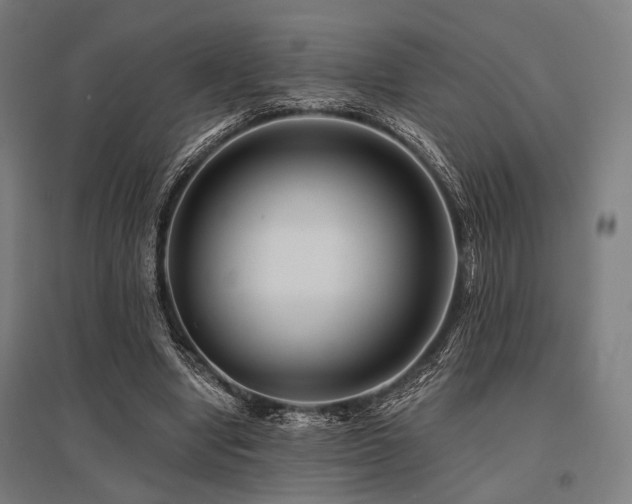 X0000096170442200801181253