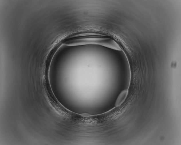 X0000096170443200801181253