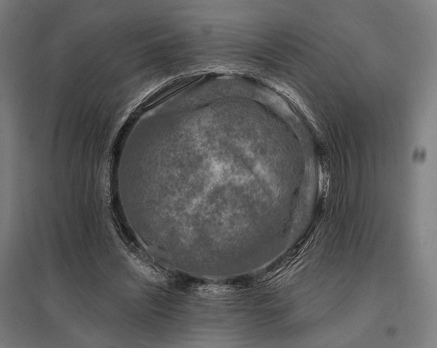 X0000096170444200801181253