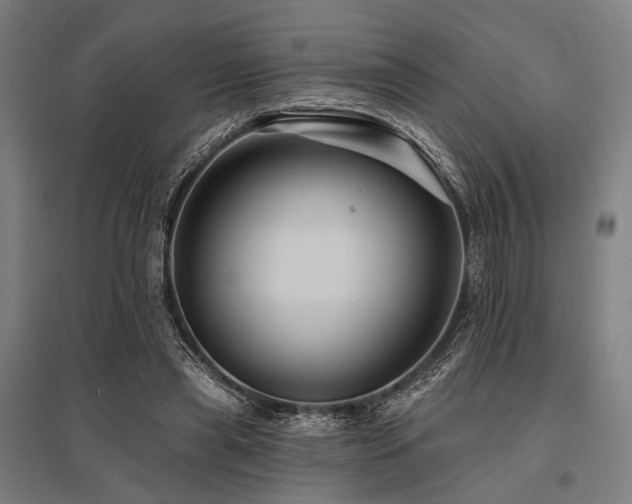 X0000096170445200801181253