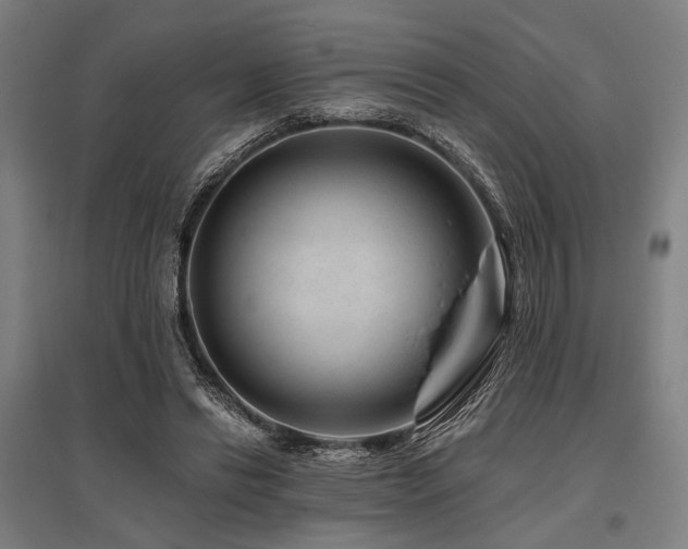 X0000096170446200801181253