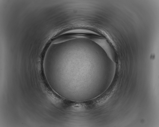 X0000096170447200801181253