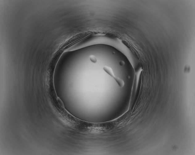 X0000096170448200801181253