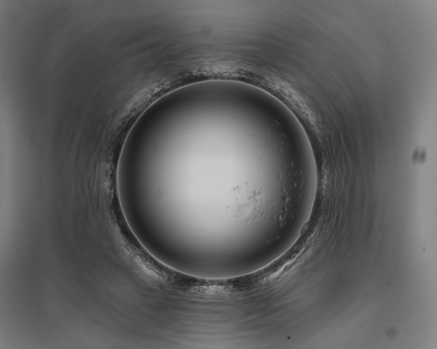 X0000096170449200801181253
