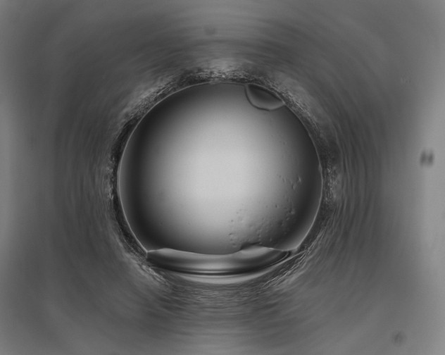 X0000096170450200801181253
