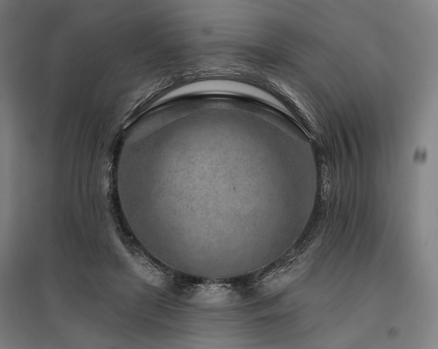 X0000096170451200801181253