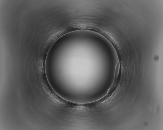 X0000096170453200801181253