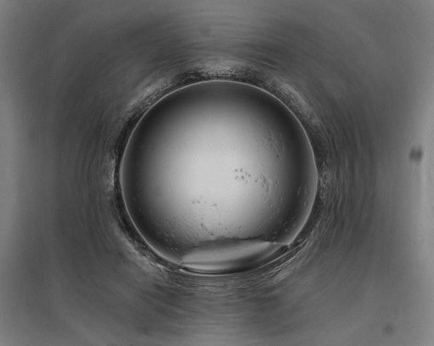 X0000096170454200801181254