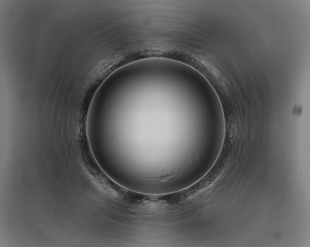X0000096170455200801181254