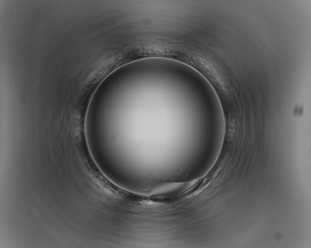 X0000096170457200801181254
