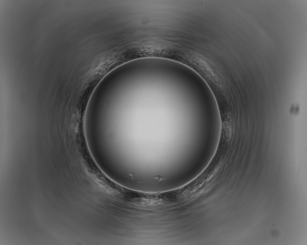 X0000096170458200801181254