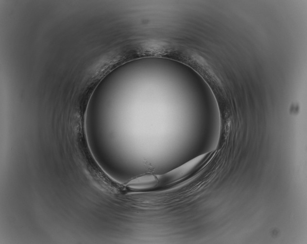 X0000096170459200801181254