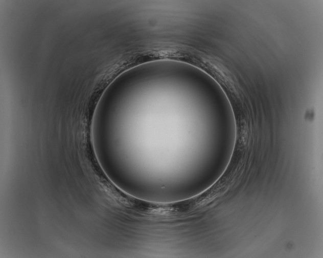 X0000096170461200801181254