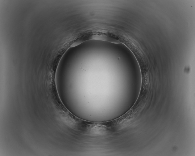 X0000096170463200801181254