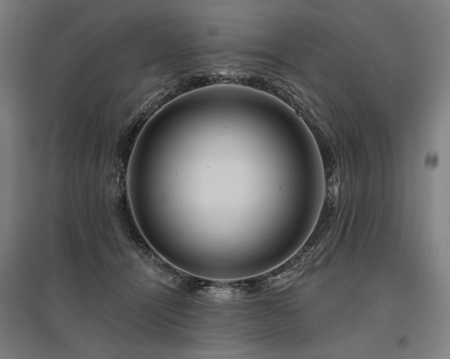 X0000096170464200801181254