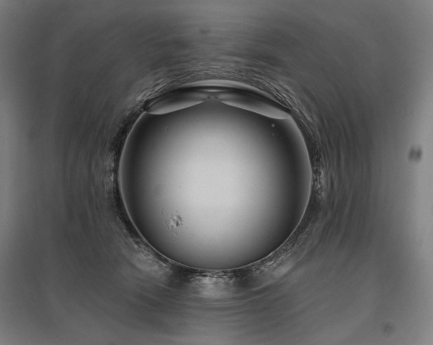 X0000096170466200801181254