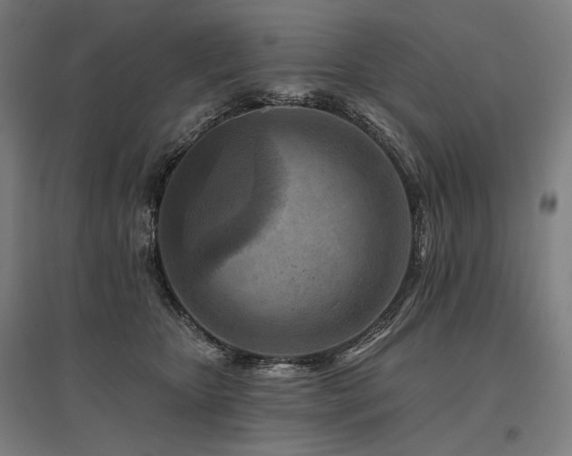 X0000096170467200801181254