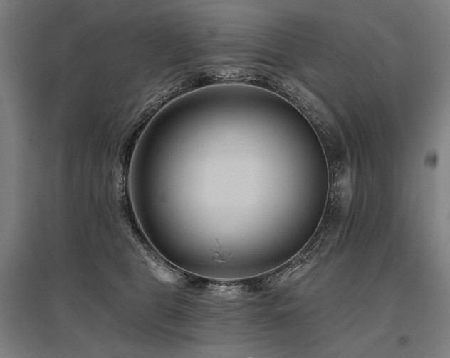 X0000096170469200801181254