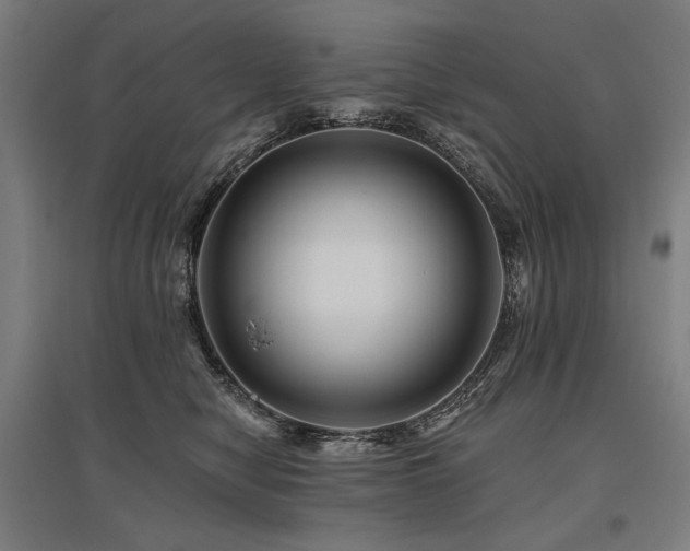 X0000096170470200801181254