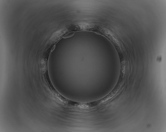 X0000096170471200801181254