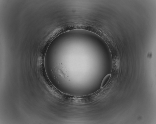 X0000096170472200801181254