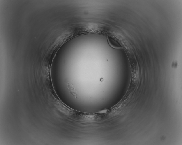 X0000096170473200801181254