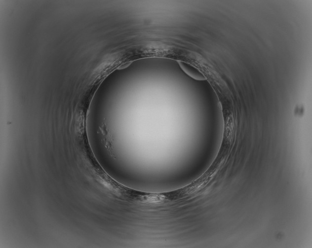 X0000096170474200801181254