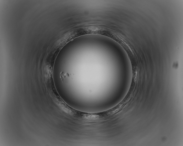 X0000096170476200801181254