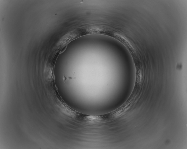 X0000096170477200801181254
