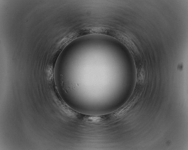 X0000096170478200801181254