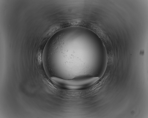 X0000096170479200801181254