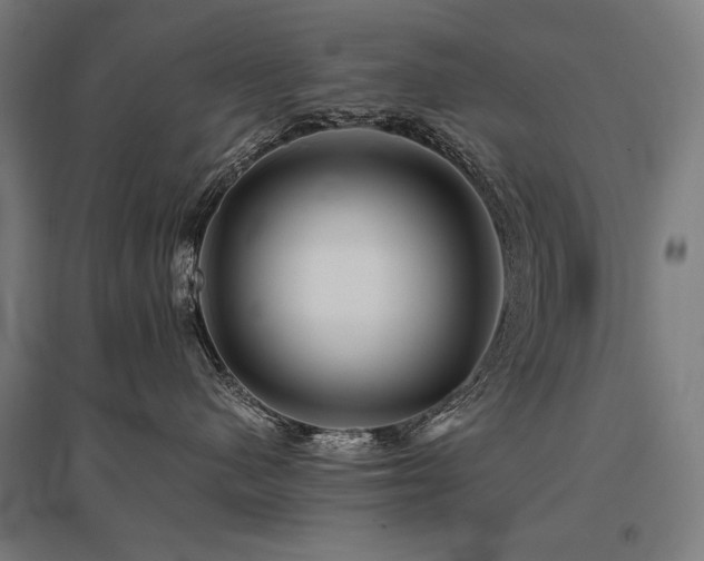X0000096170480200801181254