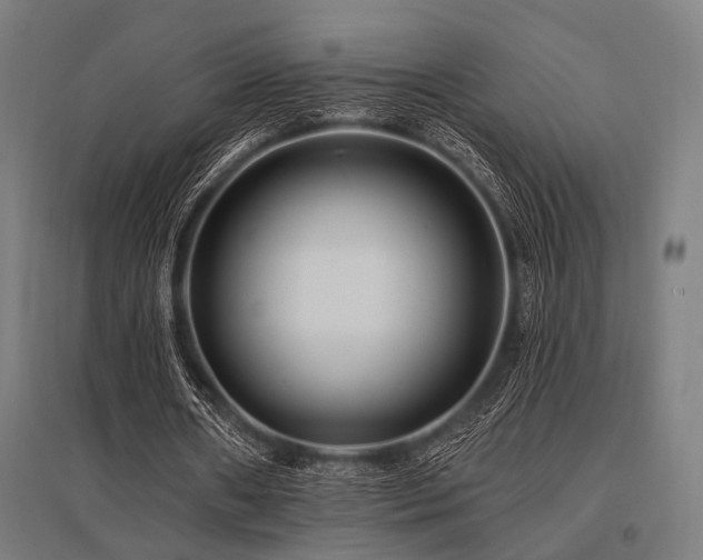 X0000096170482200801181253