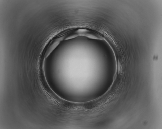 X0000096170483200801181253
