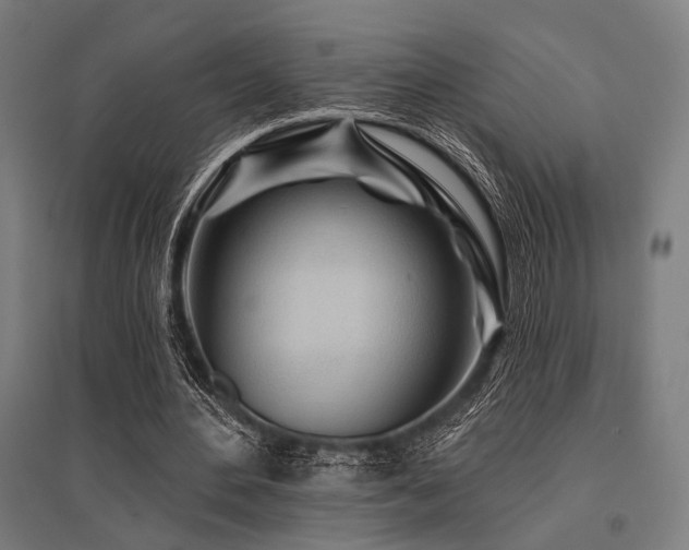 X0000096170484200801181253