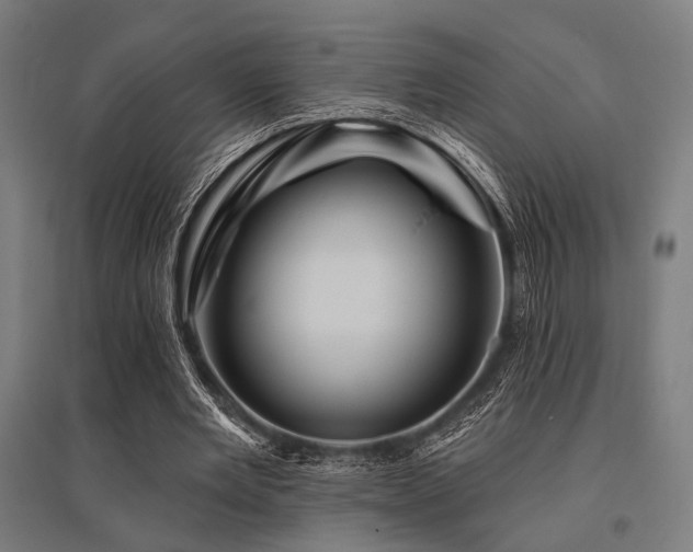 X0000096170485200801181253