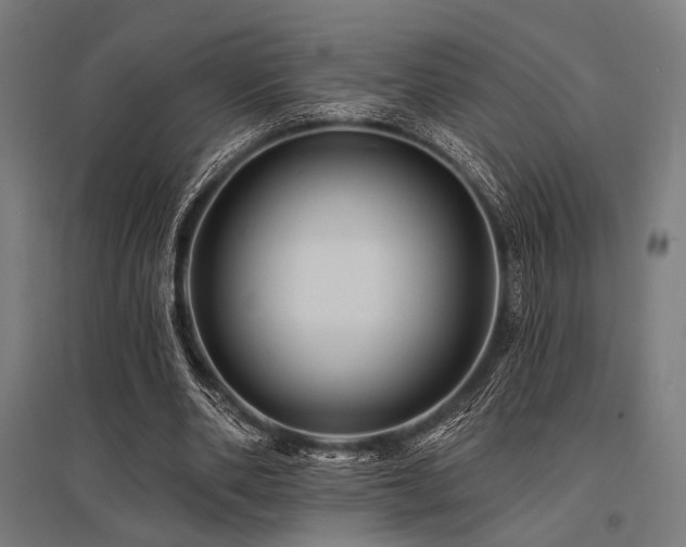 X0000096170486200801181253