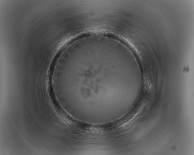 X0000096170487200801181253