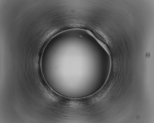 X0000096170490200801181253