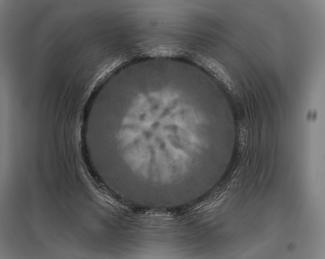 X0000096170491200801181253