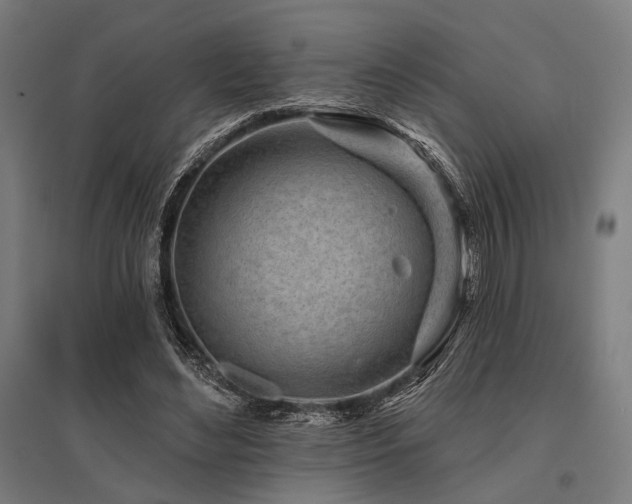 X0000096170492200801181253