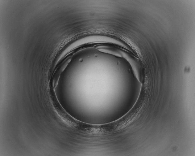 X0000096170493200801181253