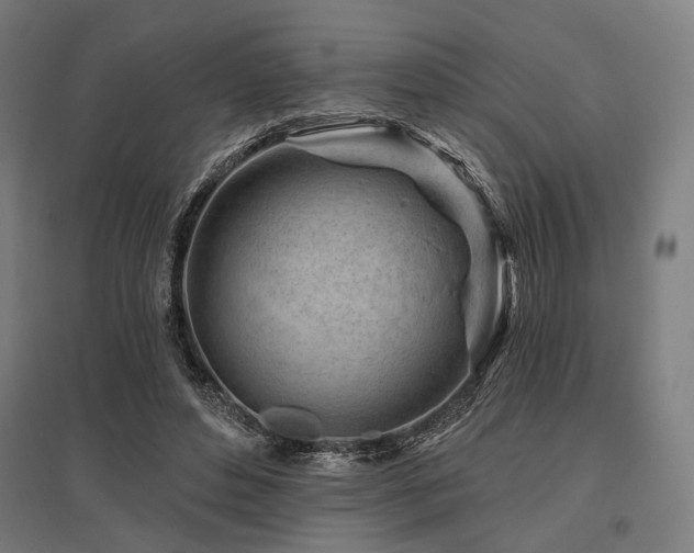 X0000096170496200801181253